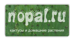 Nopal.ru