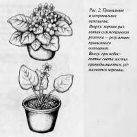 Рис. 2. Правильное и неправильное освещение